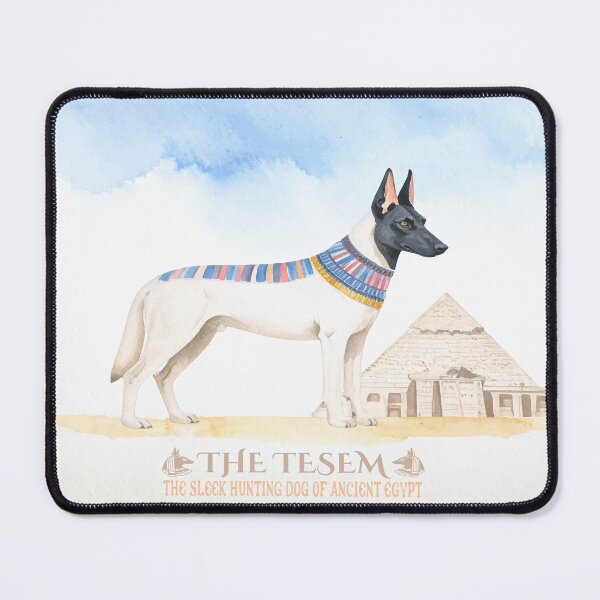 Item preview, Tesem – The Sleek Hunting Dog of Ancient Egypt designed and sold by zoliartdesign.