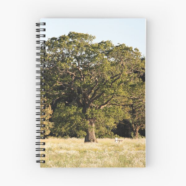 Item preview, Tree Upon the Hill designed and sold by Murph's Images.