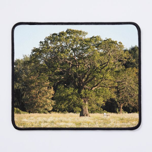 Item preview, Tree Upon the Hill designed and sold by Murph's Images.