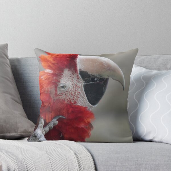 Item preview, Scarlet Macaw Parrot Bird Photography designed and sold by kaltoumkiki.