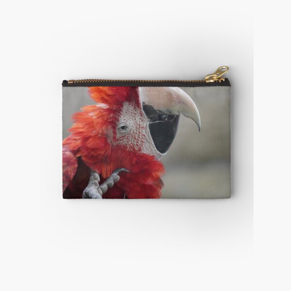 Item preview, Scarlet Macaw Parrot Bird Photography designed and sold by kaltoumkiki.