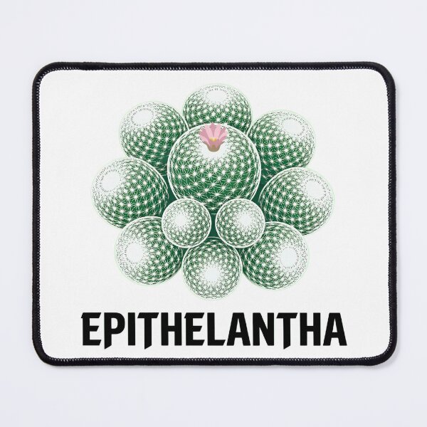 Item preview, Minimalist Epithelantha Micromeris White Cactus Graphic designed and sold by GreenDivisionJP.
