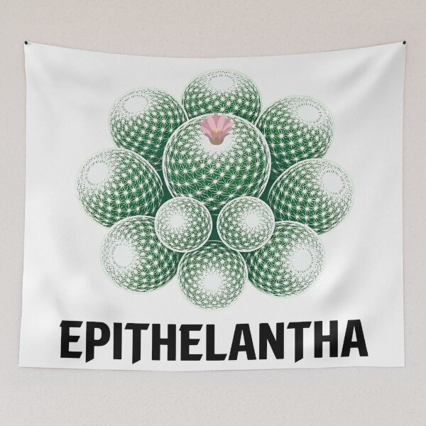 Item preview, Minimalist Epithelantha Micromeris White Cactus Graphic designed and sold by GreenDivisionJP.