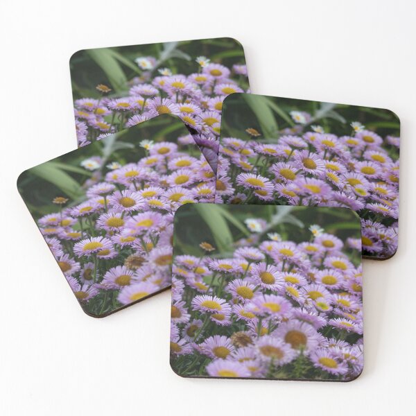 Item preview, Mexican Fleabane — Summer Abundance designed and sold by Feathers-Fur.