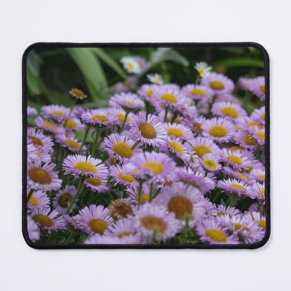 Item preview, Mexican Fleabane — Summer Abundance designed and sold by Feathers-Fur.