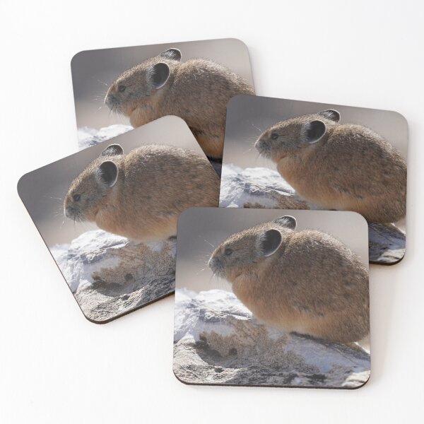 Item preview, American Pika Resting on Mountain Rock designed and sold by kaltoumkiki.