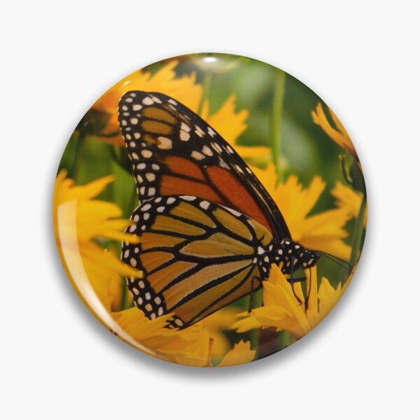 Item preview, Monarch In The Fields designed and sold by Nemoryra.