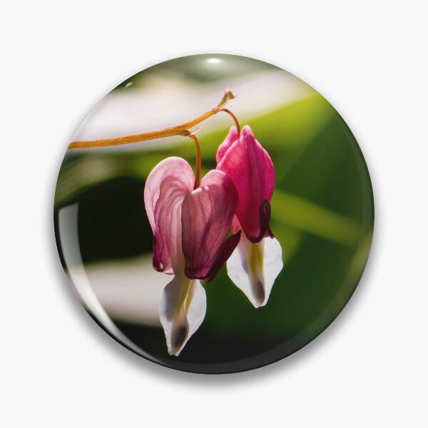 Item preview, Bleeding Hearts designed and sold by Nemoryra.