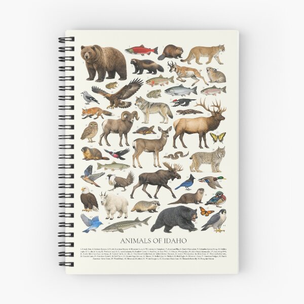 Item preview, Animals of Idaho Retro Style Identification Chart designed and sold by kakarikihill.