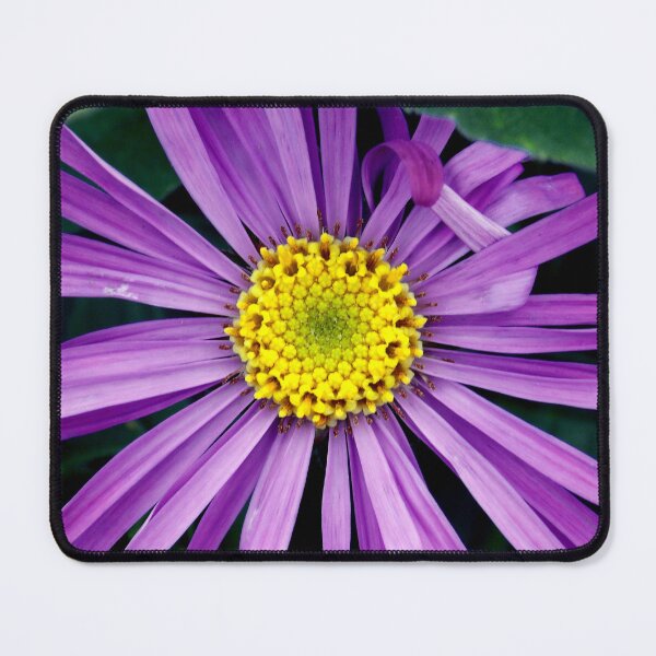 Item preview, Flower No. 16 designed and sold by artworkbycarmen.