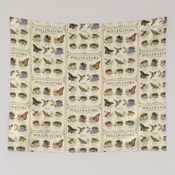 Item preview, Pollinators of North America Bee Butterfly & Hummingbird Natural History Poster designed and sold by astersgraphics.