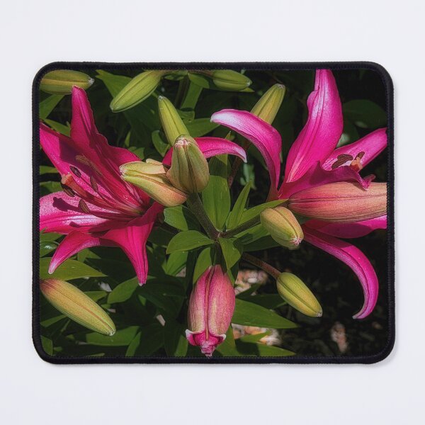 Item preview, Breaking News designed and sold by Steve Walser.