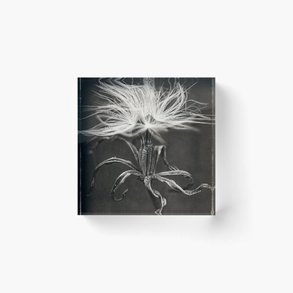 Item preview, The Last Breath designed and sold by CunningMaskPrints.