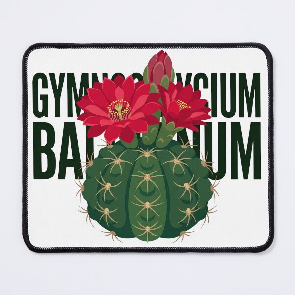 Item preview, Minimalist Gymnocalycium Baldianum Crimson Cactus Graphic designed and sold by GreenDivisionJP.