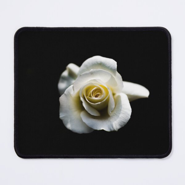 Item preview, White rose designed and sold by XaviFotografia.