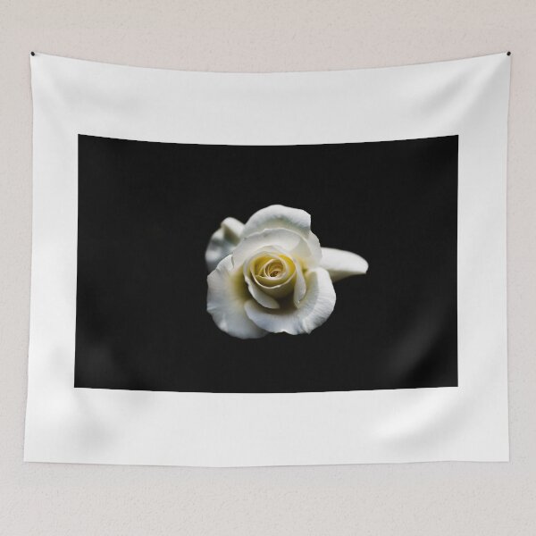 Item preview, White rose designed and sold by XaviFotografia.
