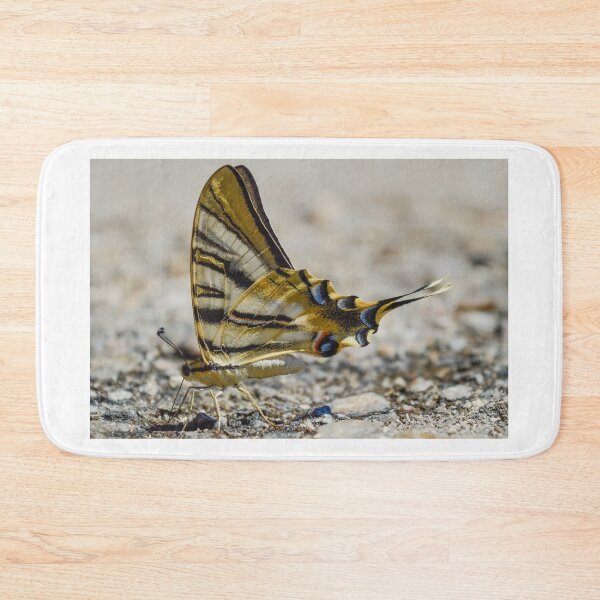 Item preview, Yellow butterfly designed and sold by XaviFotografia.