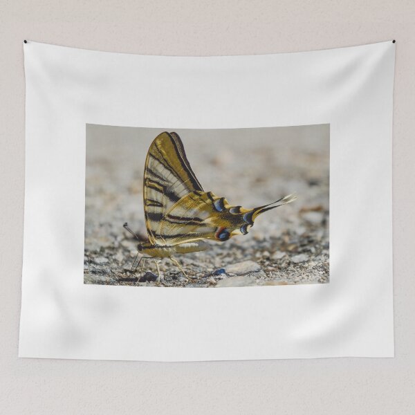 Item preview, Yellow butterfly designed and sold by XaviFotografia.