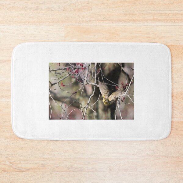 Item preview, Bird flying designed and sold by XaviFotografia.
