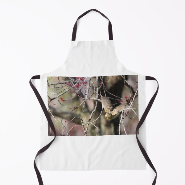 Item preview, Bird flying designed and sold by XaviFotografia.