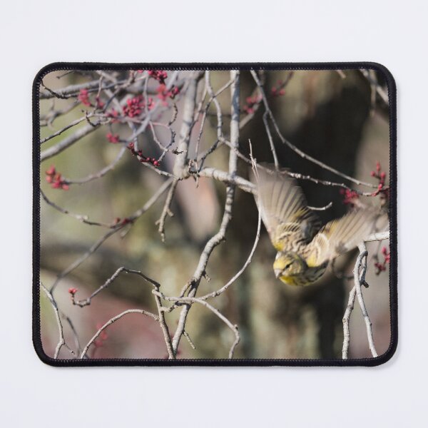 Item preview, Bird flying designed and sold by XaviFotografia.