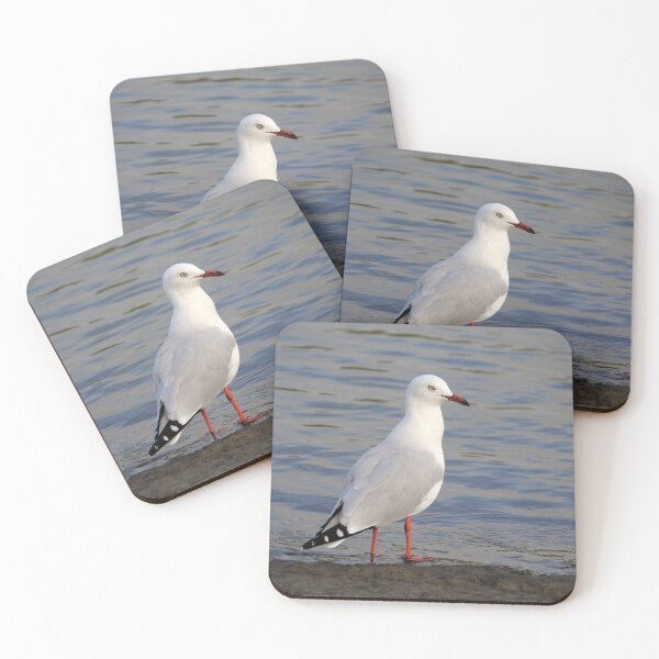 Item preview, Silver Gull Standing by the Water designed and sold by 27Tammy27.