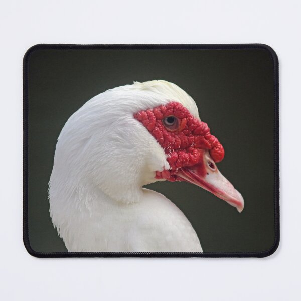 Item preview, Muscovy Duck Profile Close Up Portrait designed and sold by 27Tammy27.