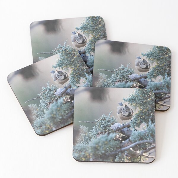 Item preview, Bird on branches designed and sold by XaviFotografia.