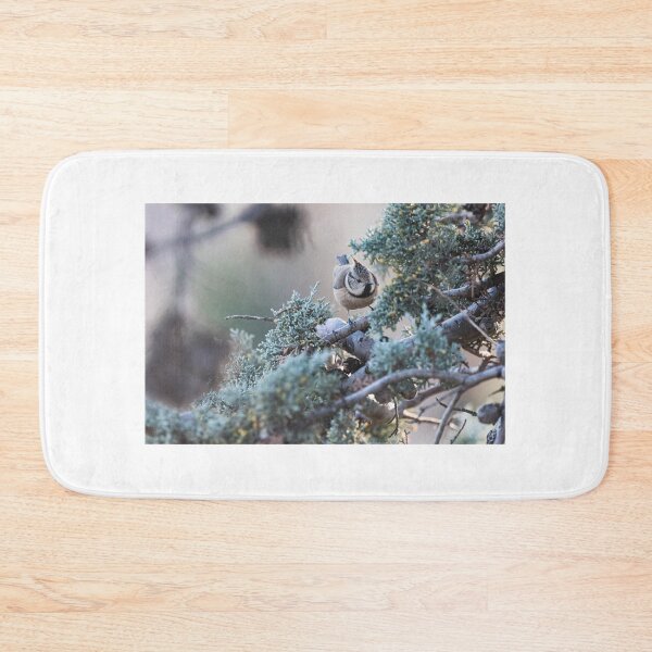 Item preview, Bird on branches designed and sold by XaviFotografia.