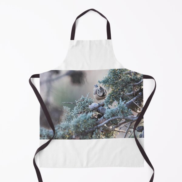 Aperçu de l'œuvre Oiseau sur les branches créée et vendue par XaviFotografia.