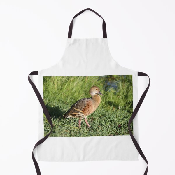 Item preview, Plumed Whistling Duck in Australian Grassland designed and sold by 27Tammy27.