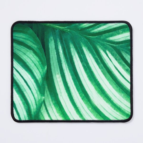 Item preview, Exotic Green Striped Leaves Lyrical Close-Up designed and sold by DEC02.