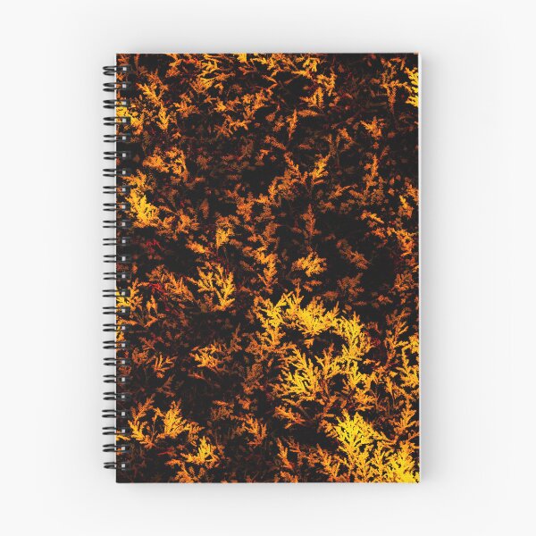 Aperçu de l'œuvre Texture créée et vendue par XaviFotografia.