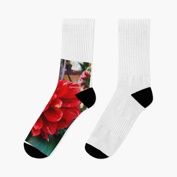 Item preview, Red Blooming Flower in Nature | Floral Photography designed and sold by DivyasnatureArt.