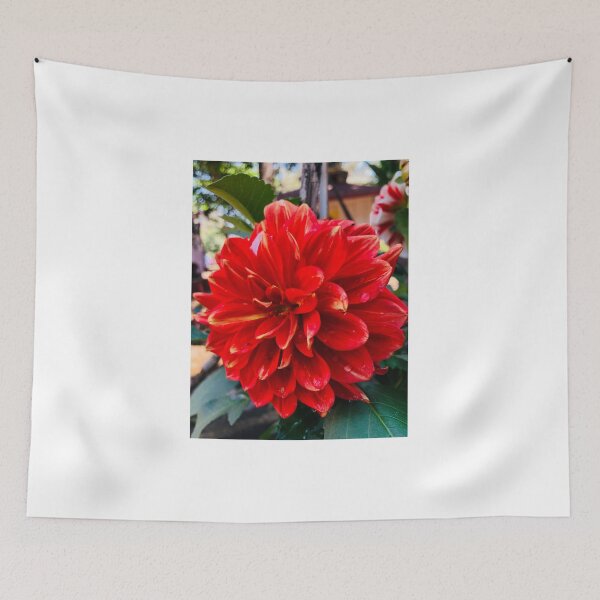 Item preview, Red Blooming Flower in Nature | Floral Photography designed and sold by DivyasnatureArt.