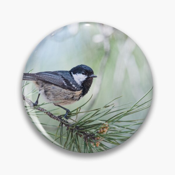 Item preview, Bird on a twig designed and sold by XaviFotografia.