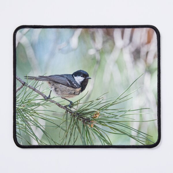 Item preview, Bird on a twig designed and sold by XaviFotografia.
