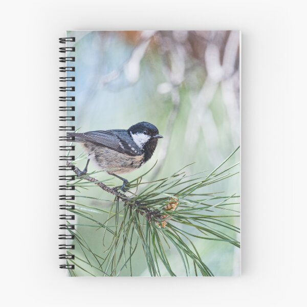 Item preview, Bird on a twig designed and sold by XaviFotografia.