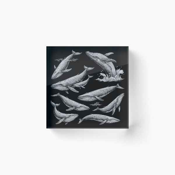 Item preview, Vintage Engraved Whales - Retro Nautical Ocean Marine Biology Art designed and sold by AdyKurniawan.