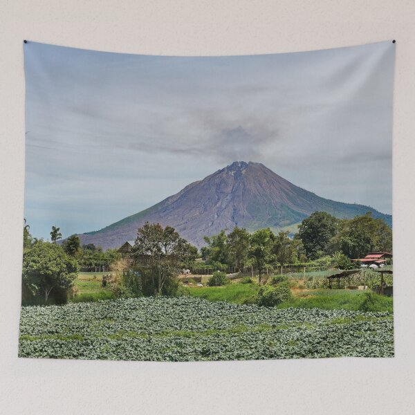 Item preview, Active volcano overlooking the cultivated fields designed and sold by franck380.