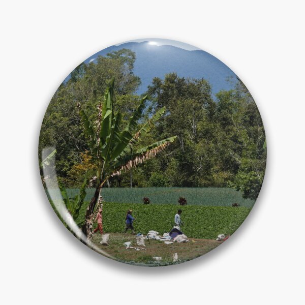 Item preview, Rural harvest in vegetable plantations designed and sold by franck380.