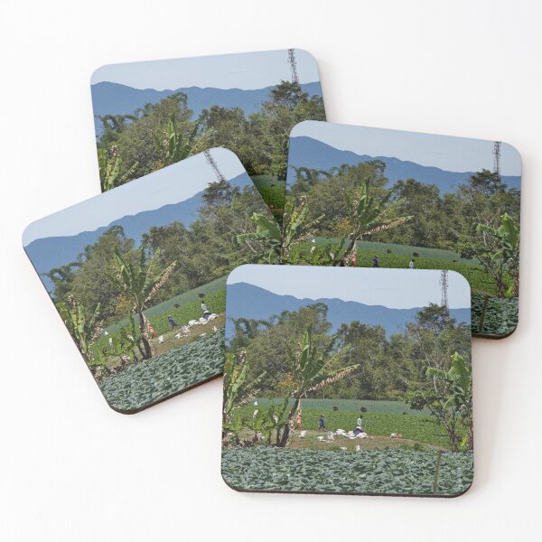 Item preview, Rural harvest in vegetable plantations designed and sold by franck380.