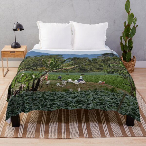 Item preview, Rural harvest in vegetable plantations designed and sold by franck380.