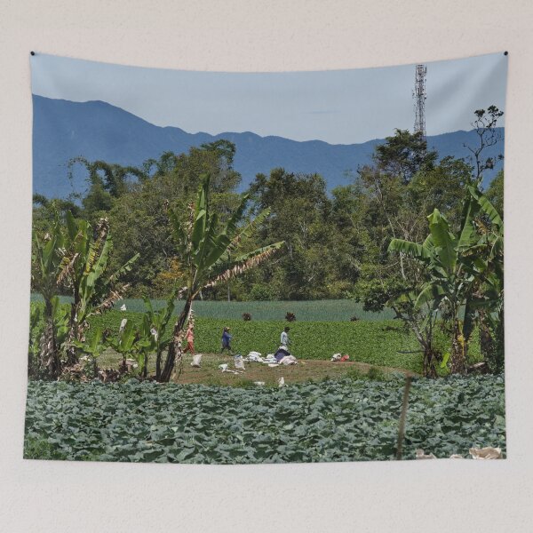 Item preview, Rural harvest in vegetable plantations designed and sold by franck380.