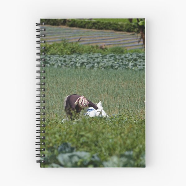 Item preview, Harvesting crops in a tropical rural environment designed and sold by franck380.