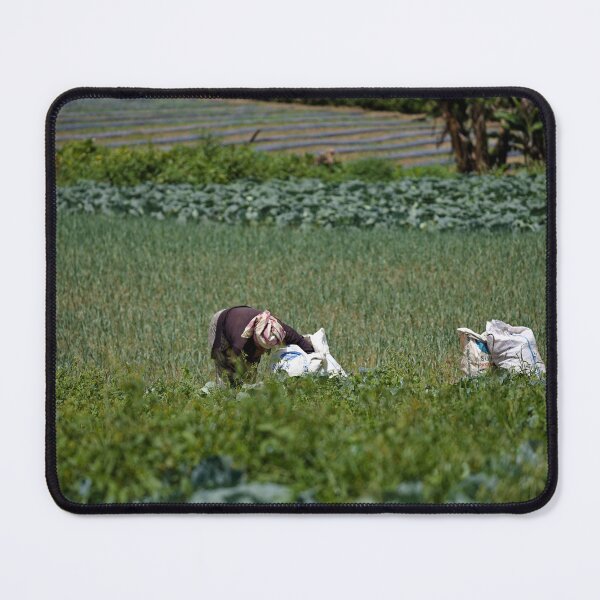 Item preview, Harvesting crops in a tropical rural environment designed and sold by franck380.