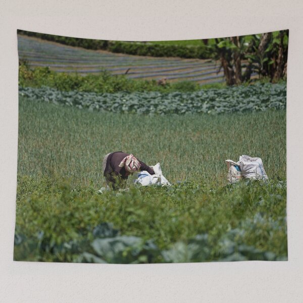 Item preview, Harvesting crops in a tropical rural environment designed and sold by franck380.