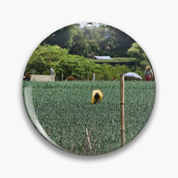 Item preview, Farmers sheltering under parasols in the field designed and sold by franck380.