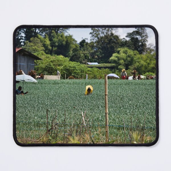 Item preview, Farmers sheltering under parasols in the field designed and sold by franck380.