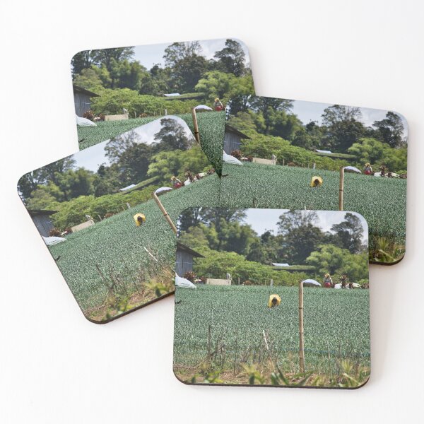 Item preview, Farmers sheltering under parasols in the field designed and sold by franck380.
